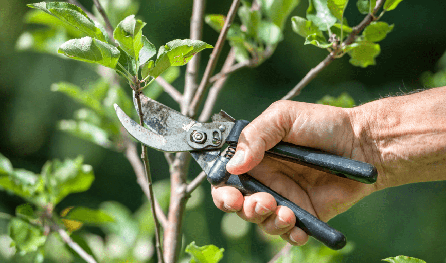 HW Lawn Care Services